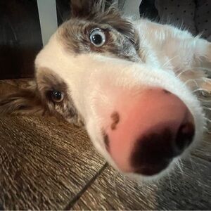 Meet your Posher, Janelle